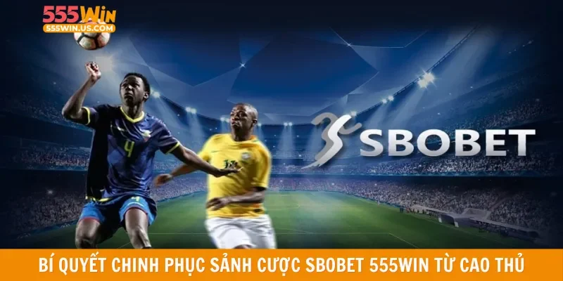 Bí quyết chinh phục sảnh cược Sbobet 555win từ cao thủ